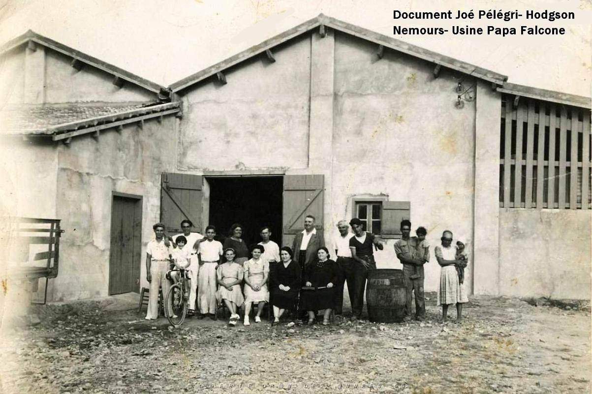Oran- SDV- 3516- Joe Pelegri- Nemours Pelegri Papa Falcone.jpg